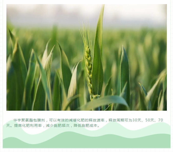 聚氨酯缓释肥的释放机理